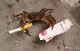 济南安达驾校