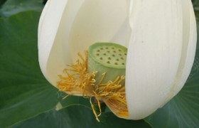 攀枝花园丁驾校