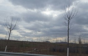 烟台同德驾校
