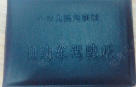 济南鲁政苑驾校