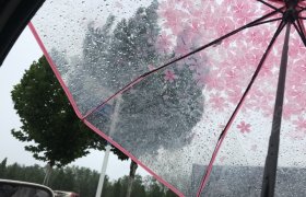 邢台畅安驾校