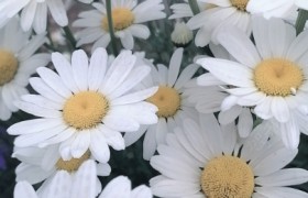 临夏回族自治州瑞达驾校