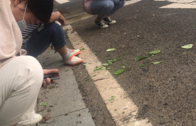淮安五星驾校