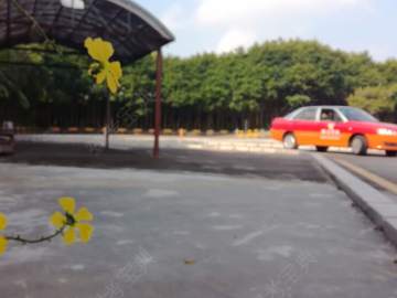 顺达驾校
