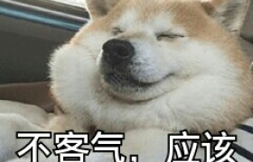 湛江安顺驾校