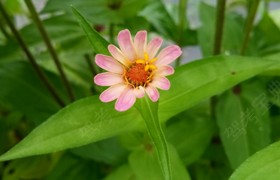 重庆远达驾校