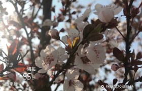 临沂铭瑞驾校