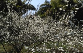 重庆鹏程驾校