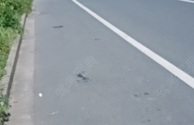 扬州奔马驾校