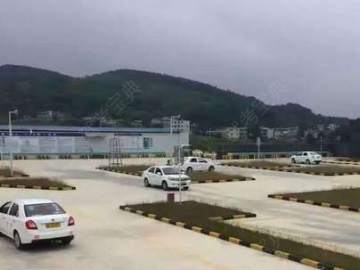 国林驾校