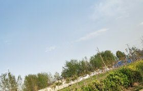 周口谦和驾校