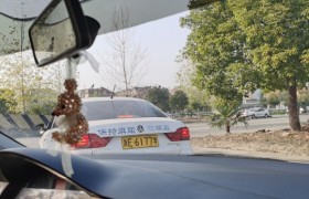 湖州嘉鑫驾校