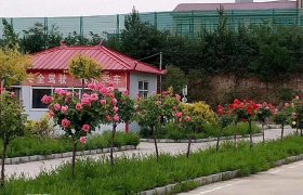 许昌金桥驾校