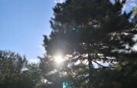 北京佳乐驾校