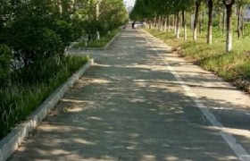铜陵枞鑫驾校
