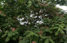 洛阳顺通驾校