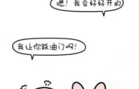 丹东阳光驾校