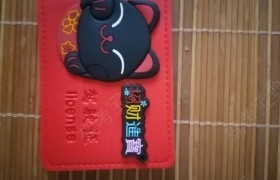 滁州凤阳驾校