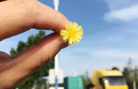 烟台东海驾校