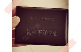 上海金顺驾校