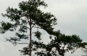 三明环宇驾校