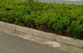宣城龙润驾校