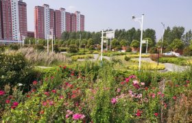 南阳白河驾校