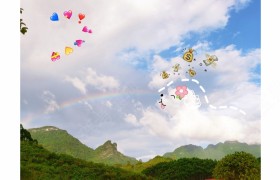 河池金诚驾校