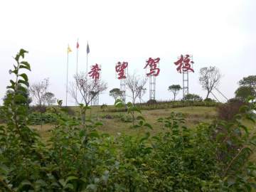 希望驾校