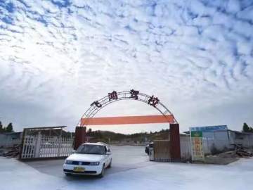 飞鸿驾校