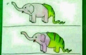 临汾新方向驾校