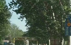 沧州劳动驾校