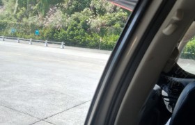 杭州淳安梦之岛驾校