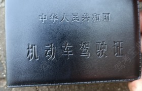 德宏傣族景颇族自治州金山驾校