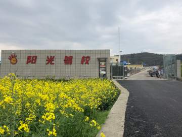 阳光驾校