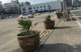 阜阳长城驾校