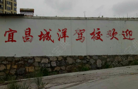 宜昌城洋驾校