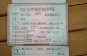 玉林鑫龙驾校