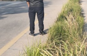上饶大邦驾校