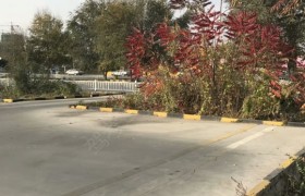 兰州华龙时尚驾校