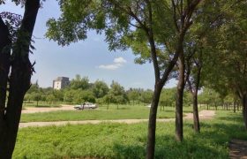 北京南郊驾校