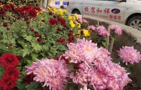 平顶山祥和驾校