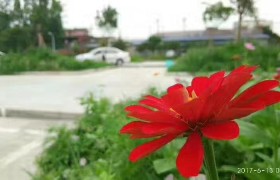 眉山兴欣驾校