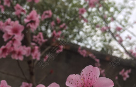 重庆义鑫驾校
