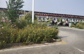 教学环境