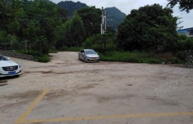 崇左新运驾校
