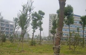 淮安工学院驾校