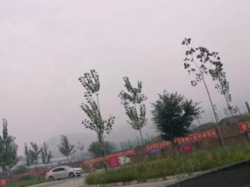 射洪路路安驾校
