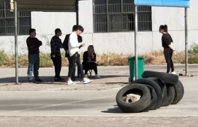 衡水诚信驾校