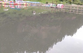 临夏回族自治州顺全驾校